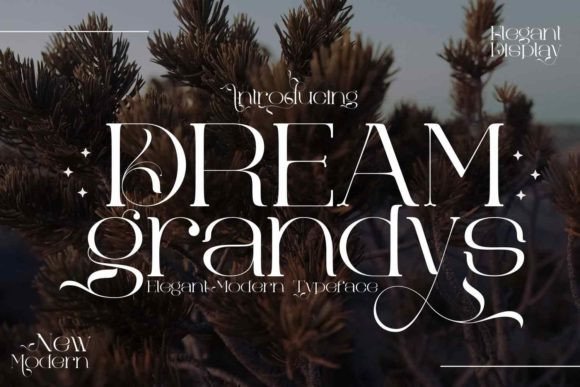 Dream Grandys: A Serif Font for Elegant Brand Stories