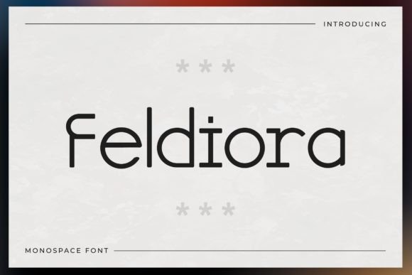 Finding Focus with Feldiora
