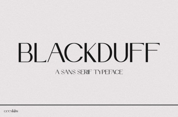 Finding Your Brand Voice with Blackduff Typeface