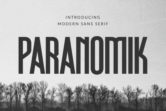 The Quiet Confidence of Paranomik: A Designer's Hands-On Review